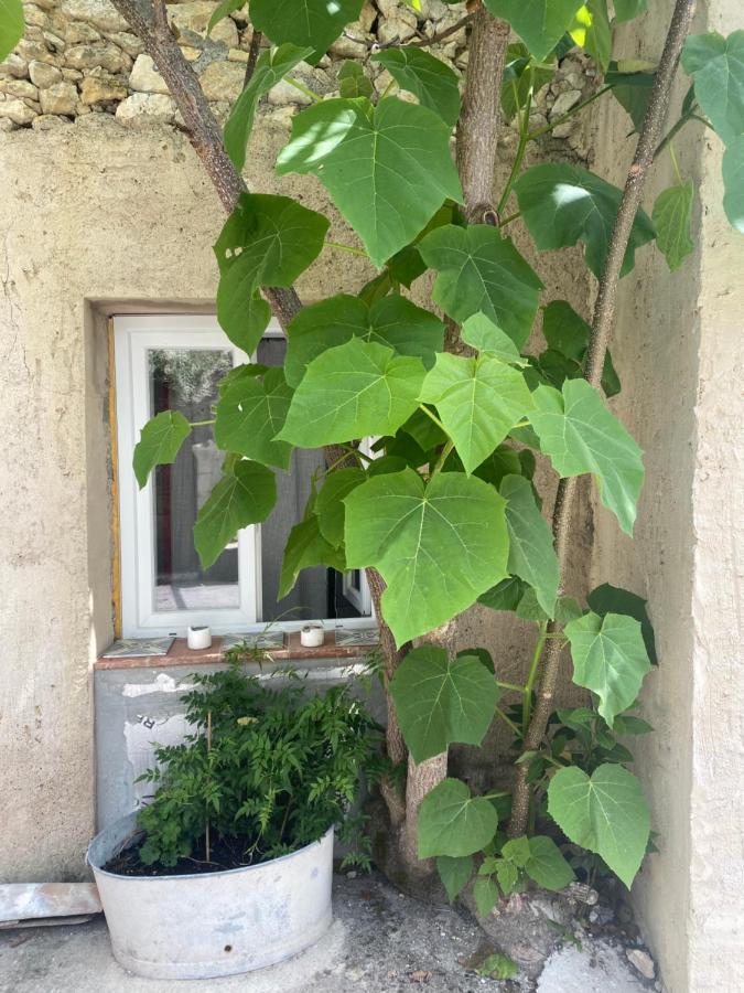 Villa Lou Mut Lectoure Esterno foto